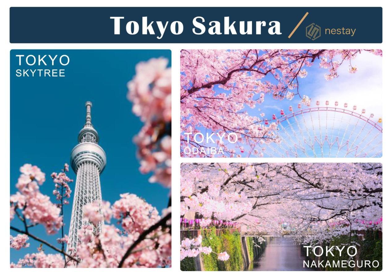 Nestay Shinjuku * Präfektur Tokio